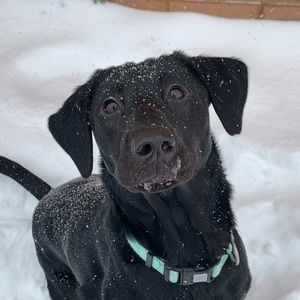 Meet your Posher, Garrett